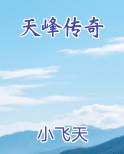 天峰传奇txt