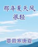 那年夏天风吹过